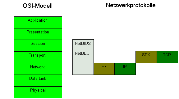 Netzwerkprotokolle im OSI-Referenzmodell